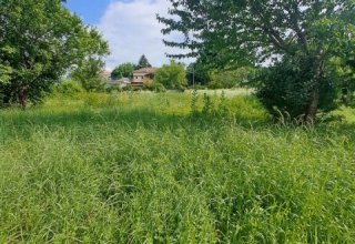 Azienda agricola in vendita a Mussolente in Via Roma, 1