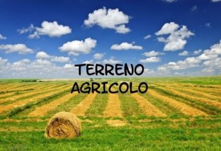 Azienda agricola in vendita a Borso del Grappa in Via Molini, 1