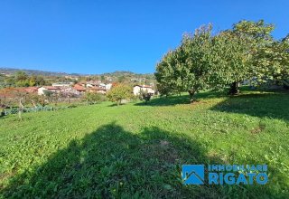 Azienda agricola in vendita a Pianezze in Via Roma, 1