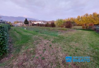 Azienda agricola in vendita a Mussolente in Via Livenza, 1