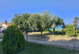 Villini a schiera in vendita a Vasto in SS16, Snc