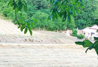 Casa indipendente in vendita a Pieve Torina