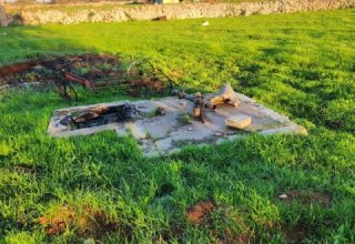 Azienda agricola in vendita a Zollino in Strada Vicinale Francaloni, 15