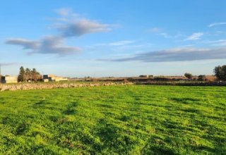 Azienda agricola in vendita a Zollino in Strada Vicinale Francaloni, 15