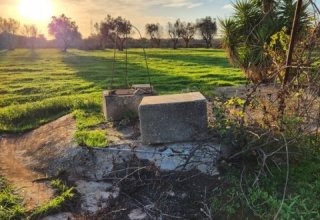 Azienda agricola in vendita a Zollino in Strada Vicinale Francaloni, 15