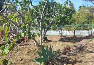 Azienda agricola in vendita a Valverde in Corso Vittorio Emanuele III, 1