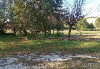 Informatica in vendita a Sant'Elpidio a Mare in Strada Cretarola, 1