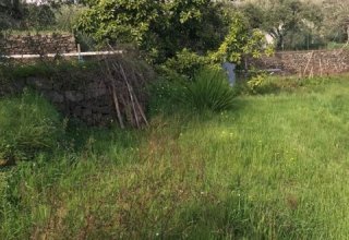 Azienda agricola in vendita a Santa Venerina in Via Fichera, 1