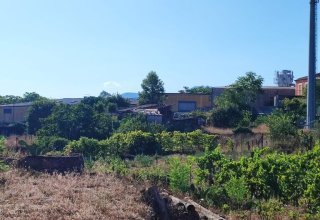 Azienda agricola in vendita a San Giovanni la Punta