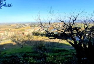 Azienda agricola in vendita a Montegranaro in Via Luigi Fontana, 53