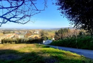 Azienda agricola in vendita a Montegranaro in Via Luigi Fontana, 53