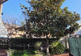Villini a schiera in vendita a Civitanova Marche in Via Boiardo, 1