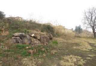 Azienda agricola in vendita a Piedimonte Etneo