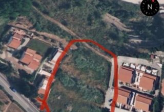 Azienda agricola in vendita a Parghelia