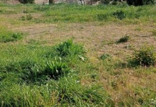 Azienda agricola in vendita a Sant'Elpidio a Mare