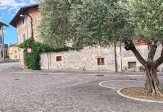 Rustico / Casale in vendita a Manzano in Via Vittorio Veneto, 57