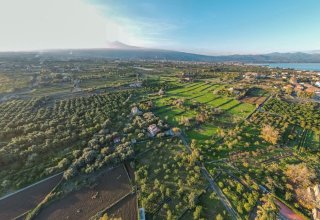 Azienda agricola in vendita a Riposto