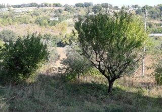 Azienda agricola in vendita a Montecosaro in Contrada Fontanelle, 1