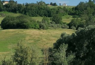 Azienda agricola in vendita a Corridonia
