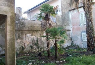 Villa in vendita a Viareggio in Via Giuseppe Zanardelli, 1