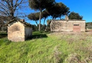 Azienda agricola in vendita a Nettuno in Via della Pineta, 1
