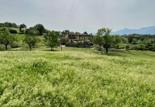 Azienda agricola in vendita a Ferentino in Via Stufa Pigna Castello, 1