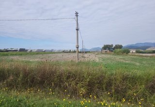 Azienda agricola in vendita a Pontinia in Strada delle Pignette, 1