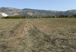 Azienda agricola in vendita a Anagni in Via Casilina, 934