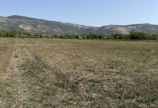 Azienda agricola in vendita a Anagni in Via Casilina, 934