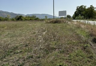 Azienda agricola in vendita a Anagni in Via Casilina, 934