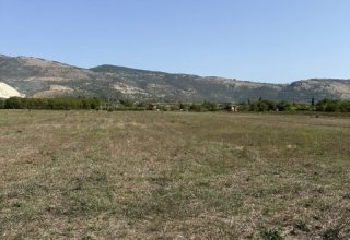 Azienda agricola in vendita a Anagni in Via Casilina, 934