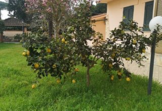 Villa in vendita a Terracina in Strada Provinciale Badino, km 8.600