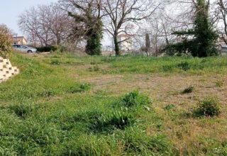 Azienda agricola in vendita a Sant'Elpidio a Mare in Via Monturanese, 1