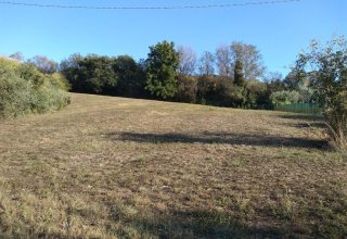 Azienda agricola in vendita a Sant'Elpidio a Mare in Strada Provinciale 26, 1