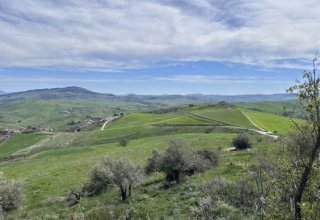 Azienda agricola in vendita a Bompietro