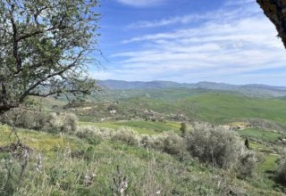 Azienda agricola in vendita a Bompietro