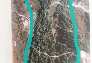 Azienda agricola in vendita a Sirolo