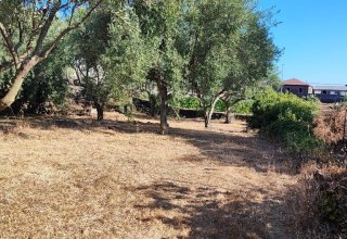 Azienda agricola in vendita a San Giovanni la Punta