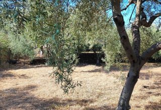 Azienda agricola in vendita a San Giovanni la Punta