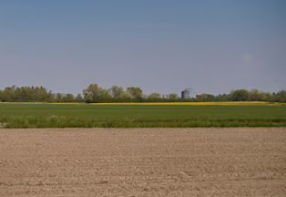 Azienda agricola in vendita a  in Via Piave, 1